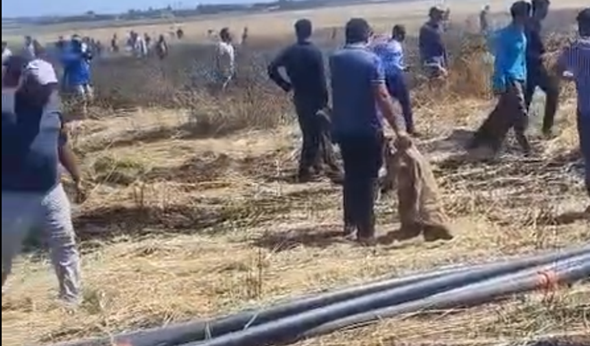 Şanlıurfa’da Tarım Arazisinde Korkutan Yangın