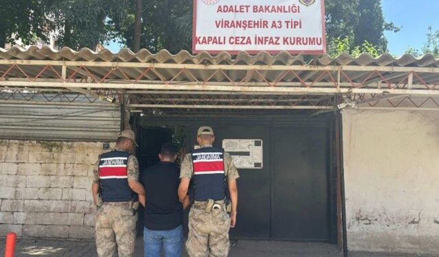 Şanlıurfa Jandarmasından Viranşehir'de Nokta Operasyon!