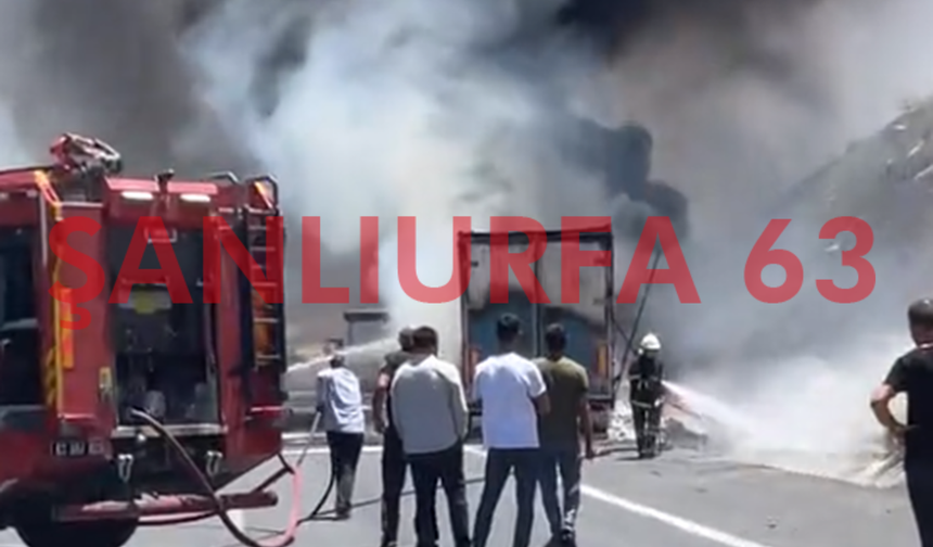 Şanlıurfa'da Seyir Halindeki Tır Alevlere Teslim Oldu!