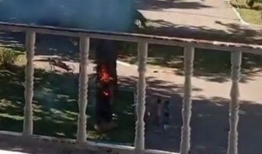 Haliliye’de Parkta Ağaç Yangını! İtfaiye Büyümeden Söndürdü