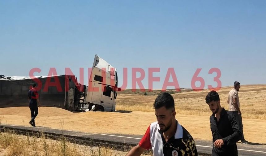 Şanlıurfa'da Korkutan Kaza: Karayolu Buğdayla Kaplandı!