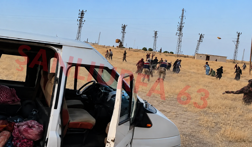 Şanlıurfa'da İki Aile Birbirine Girdi! Akçakale'de Dehşet Anları
