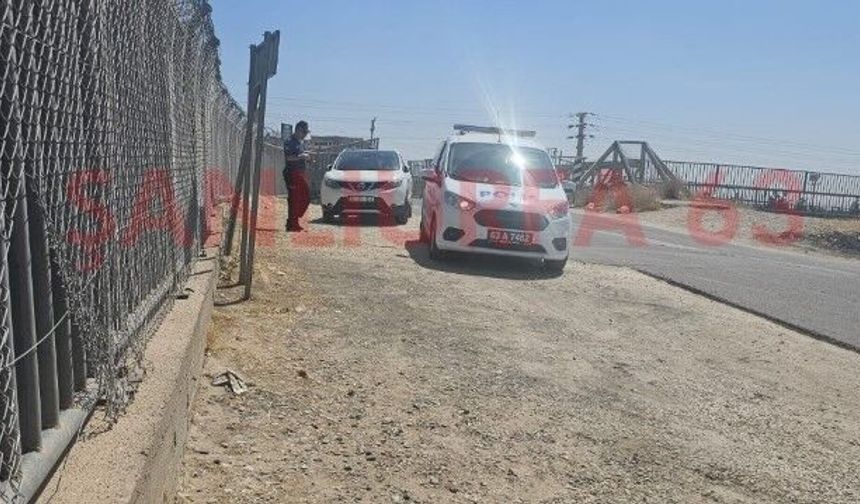 Şanlıurfa'da Gece Bulunamadı! Sabah Arama Çalışmaları Yeniden Başladı