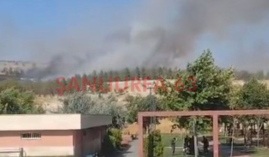 Şanlıurfa GAP Vadisi'nde Yangın! Ekipler Seferber Oldu