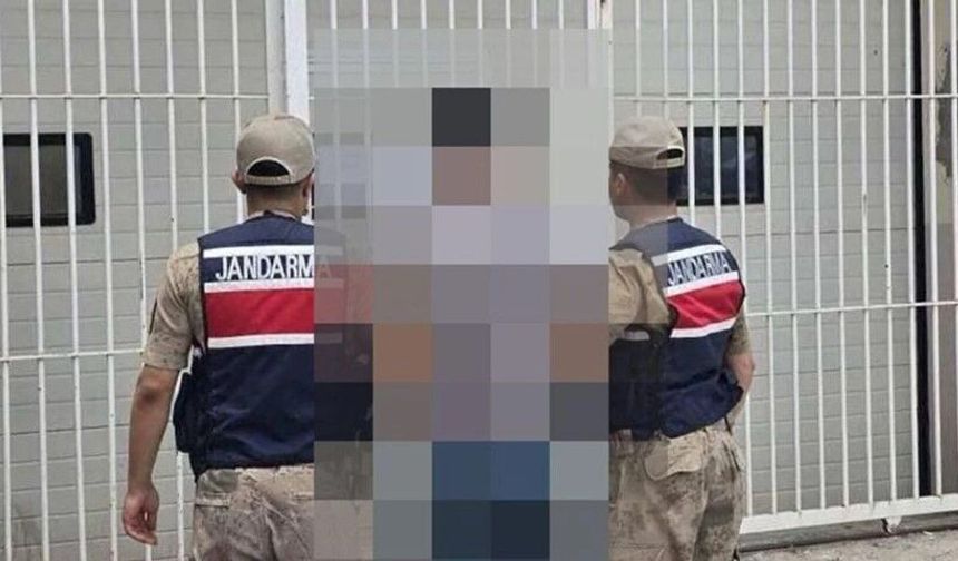 Şanlıurfa Jandarmasından Aranan Hükümlü Operasyonu!