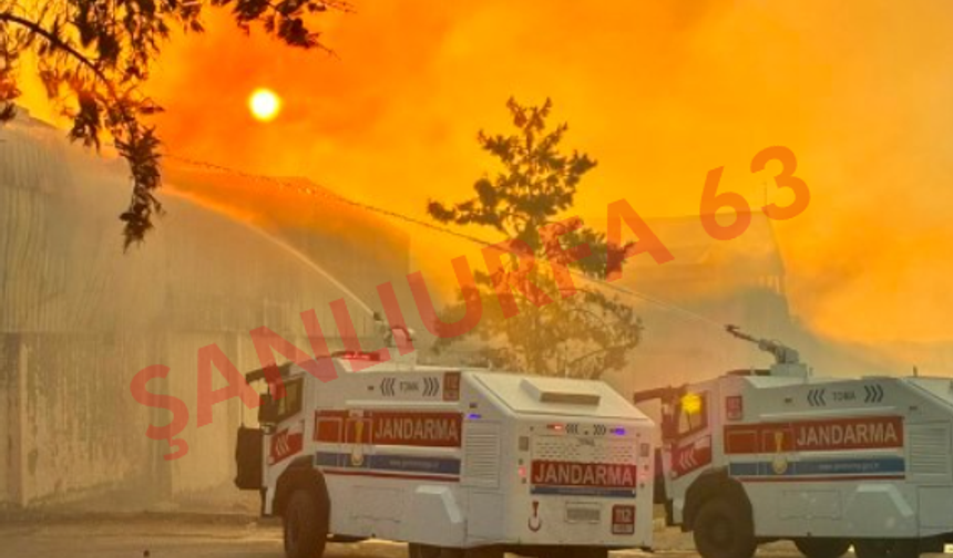 Şanlıurfa'da Besi Tesisindeki Yangında Seferberlik Yaşandı!