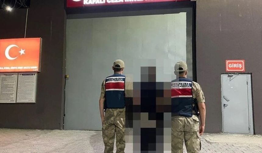 Şanlıurfa'da Jandarmadan Başarılı Operasyon! Hapis Cezalı Şahıs Gözaltında