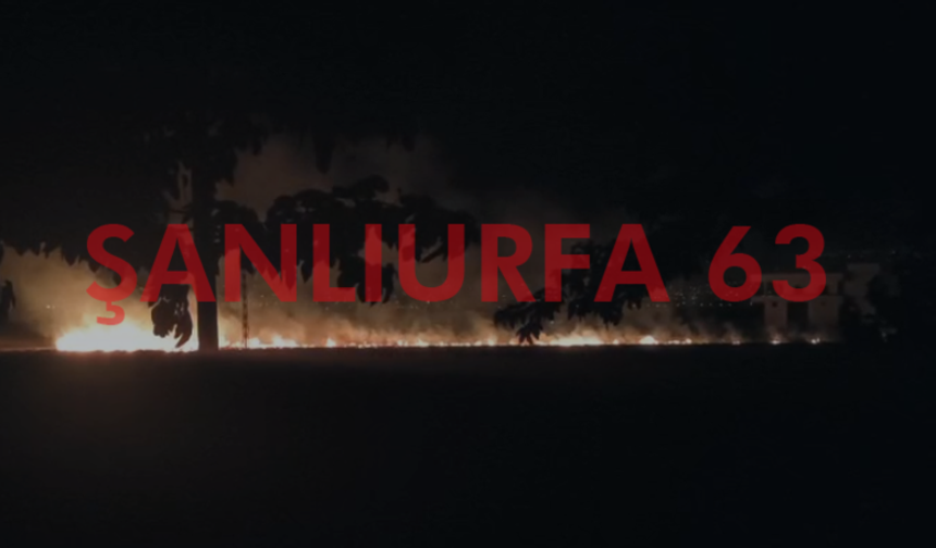 Şanlıurfa'da Korkutan Yangın! Rüzgar Alevleri Büyüttü