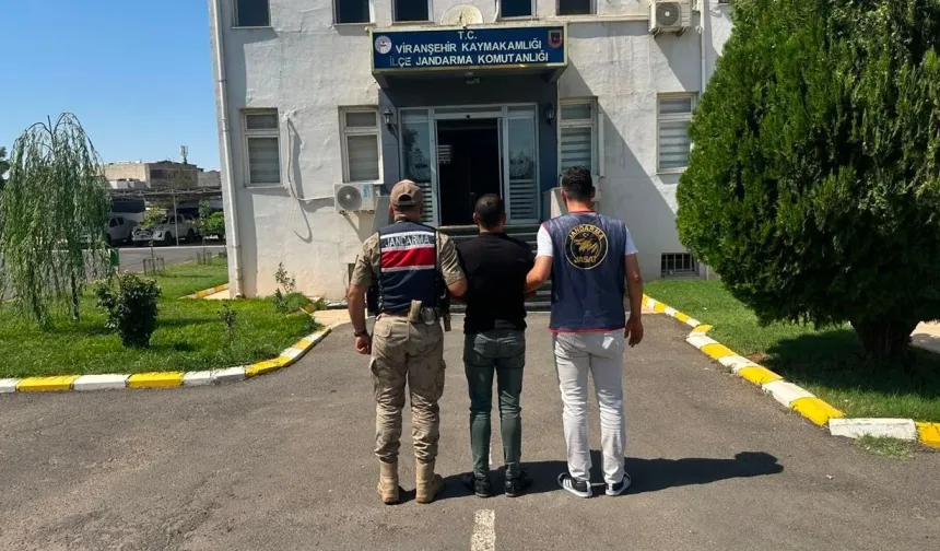 Şanlıurfa Jandarması Firarilere Göz Açtırmıyor!