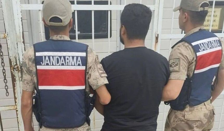 Şanlıurfa'da Hırsızlık Hükümlüsü Jandarmadan Kaçamadı!