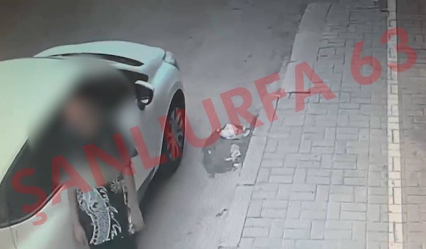 Eyyübiye’de Otomobilden Çanta Çalan Şüpheli Kameraya Yansıdı