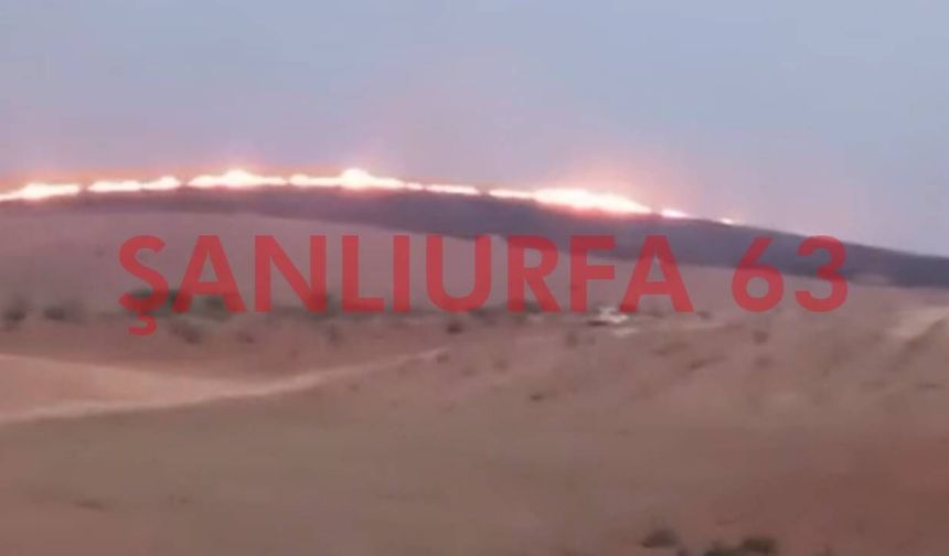 Şanlıurfa Karaköprü’de Anız Yangını Büyümeden Söndürüldü