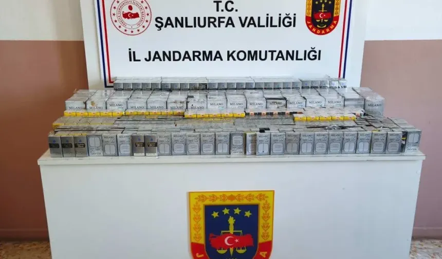 Şanlıurfa’da Kaçakçılık Operasyonu: 2 Bin 750 Sigara Ele Geçirildi