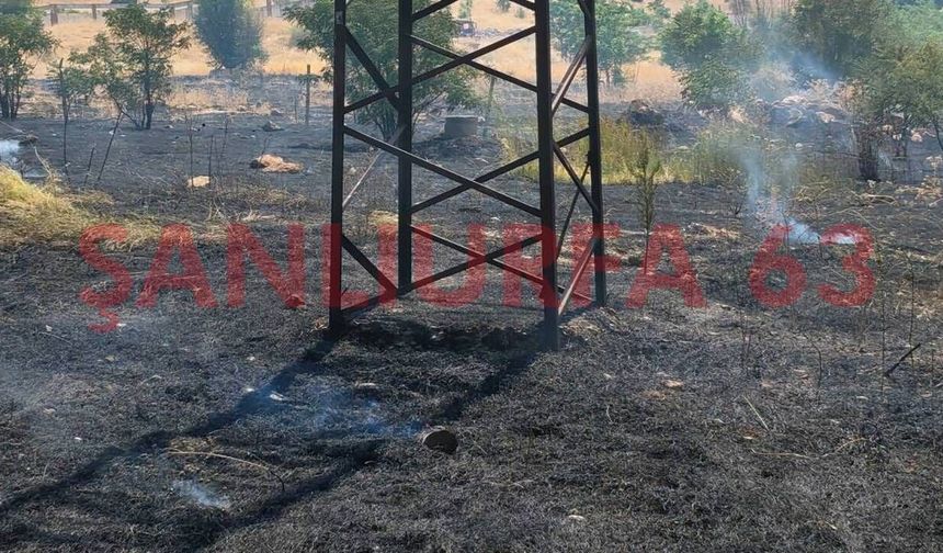 Bozova’daki Anız Yangını Çevreye Yayılmadan Söndürüldü