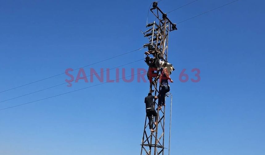 Şanlıurfa’da Elektrik Direğine Çıkan Vatandaş Akıma Kapıldı