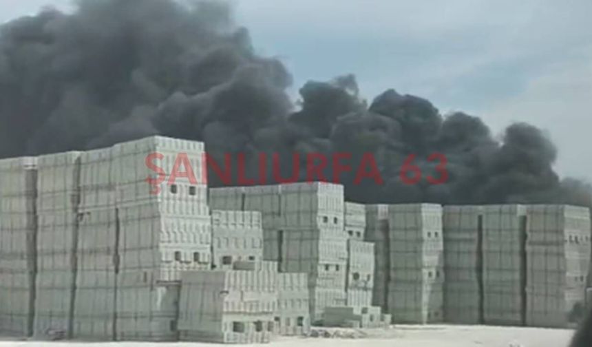 Şanlıurfa’da İş Yerinde Yangın! İtfaiye Ekipleri Müdahale Etti