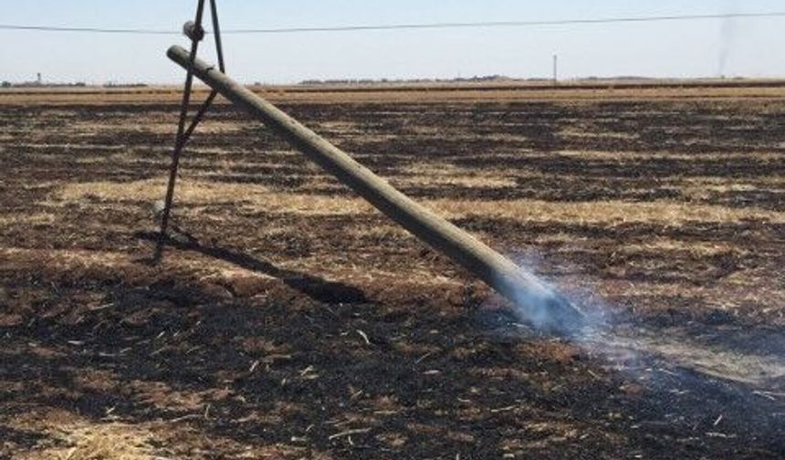 Şanlıurfa’da Anız Yangınlarının Bedeli Ağır: 250 Direk Zarar Gördü