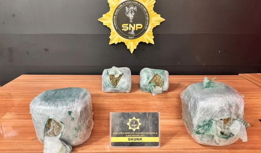 Şanlıurfa’da Yolcu Otobüsünde 17 Kilo 300 Gram Skunk Ele Geçirildi