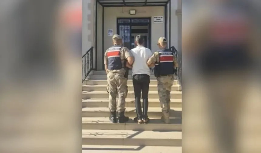 Şanlıurfa'da Hırsızlık Şüphelisi Jandarma Ekiplerince Yakalandı