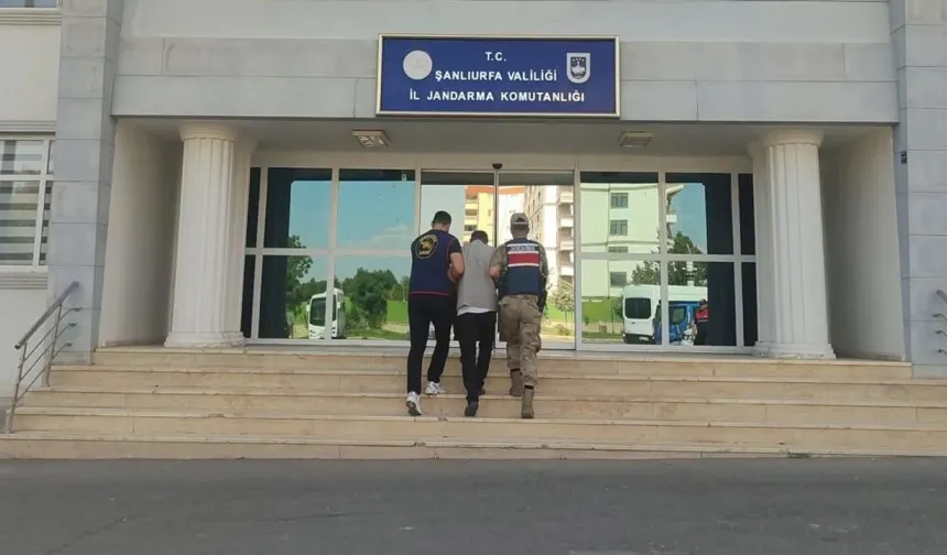 Şanlıurfa’da 72 Milyon TL’lik Dolandırıcılığın Firari Şüphelisi Yakalandı