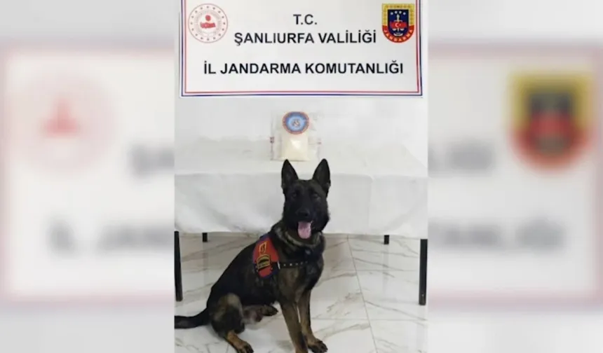 Şanlıurfa’da Uyuşturucu Operasyonu: 1 Kilogram Metamfetamin Ele Geçirildi