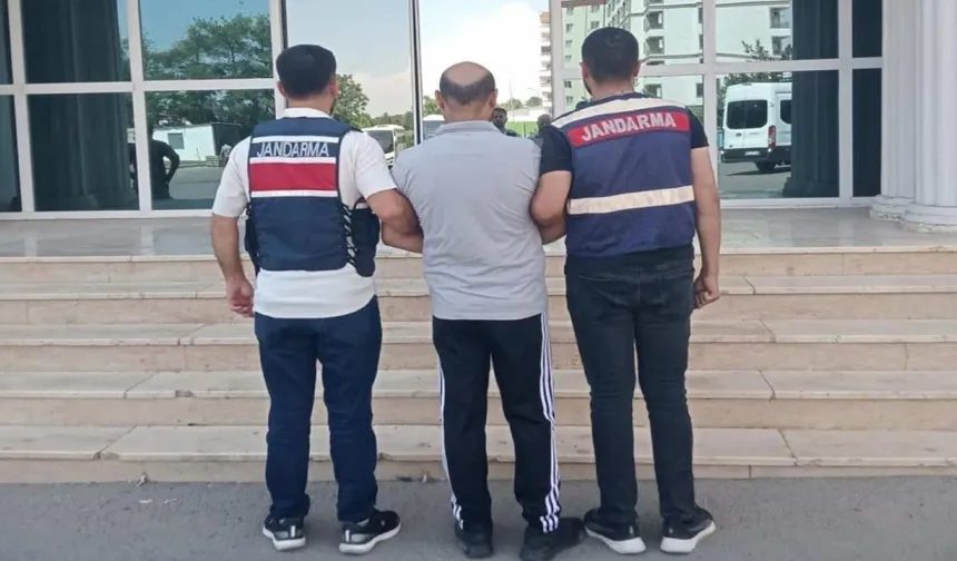 Şanlıurfa’da Jandarmadan Göçmen Kaçakçılığı Operasyonu