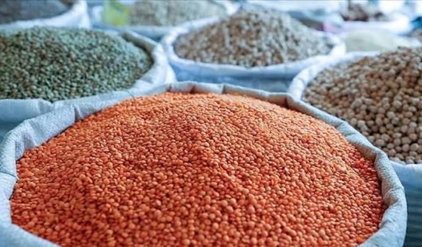 Ceylanpınar Tarım İşletmesi 10 Parti Mercimek İçin İhaleye Çıkıyor