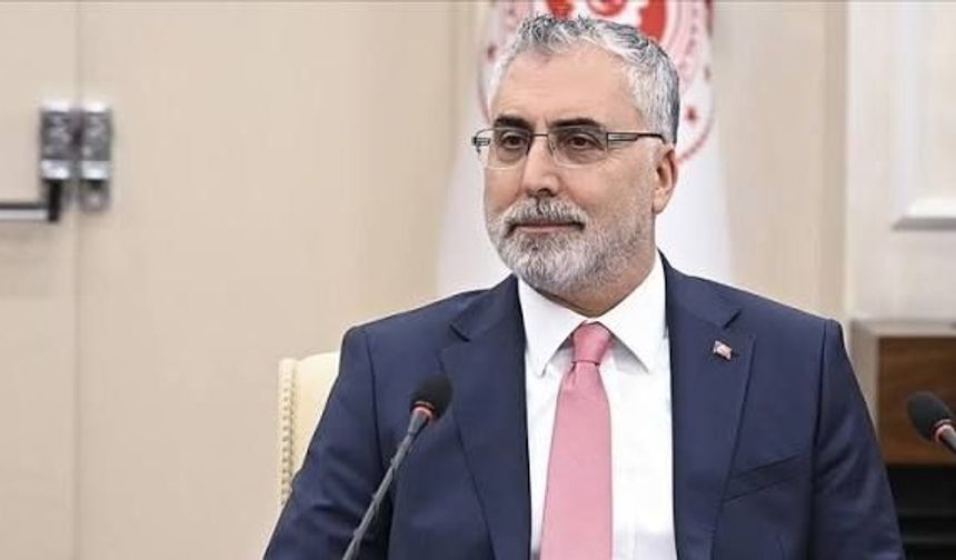 Ulusal Staj Programı Başvuruları Başladı