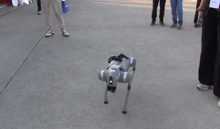 Şanlıurfa’da Yapay Zekâlı Robot Köpek TEKNOFEST’e Damga Vurdu