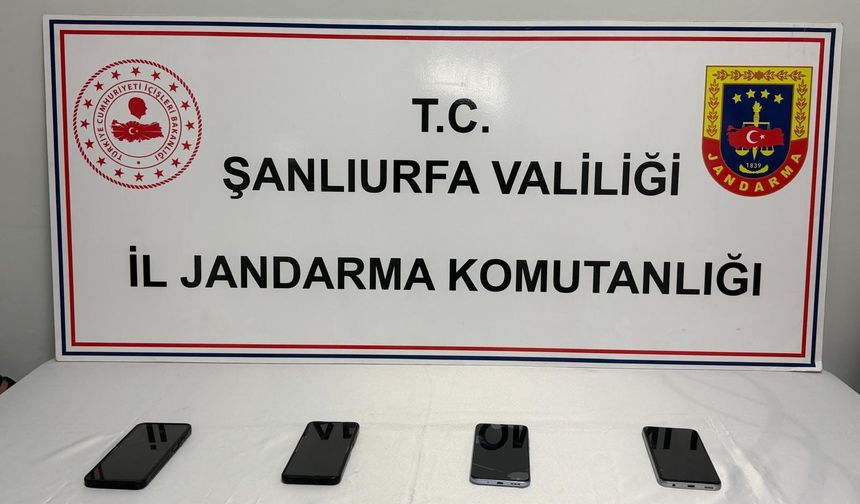 Şanlıurfa Jandarmasından Siber Suç Operasyonu: 1 Şüpheli Tutuklandı
