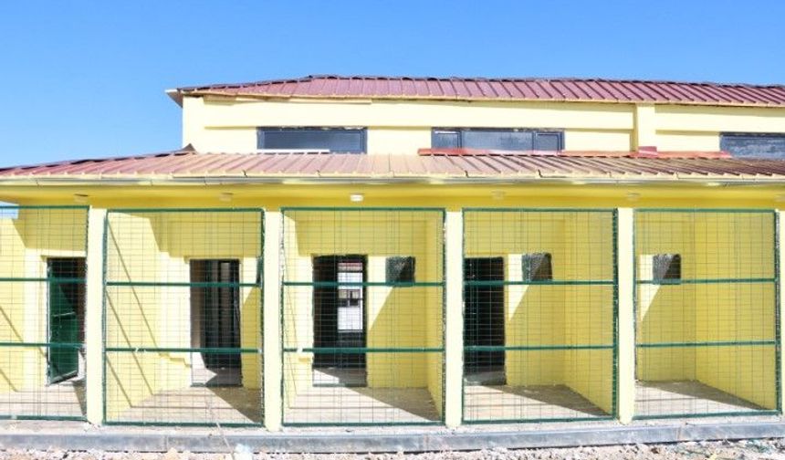 Şanlıurfa Karaköprü’de Sokak Hayvanlarına Modern Bakımevi Yatırımı