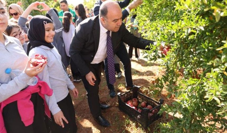 Şanlıurfa’da 2. Nar Festivali Heyecanı: Başkan Nihat Çiftçi Hasada Katıldı