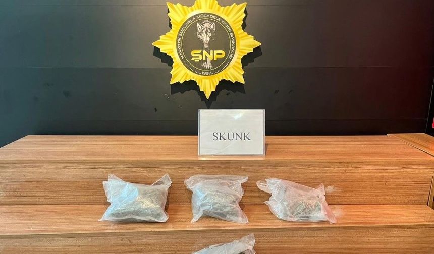 Şanlıurfa’da Ticari Takside 2 Kilo 100 Gram Skunk Ele Geçirildi