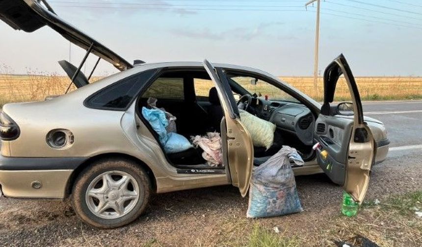 Şanlıurfa’da TİGEM’in Fıstık Bahçesinde 4 Kişi Suçüstü Yakalandı