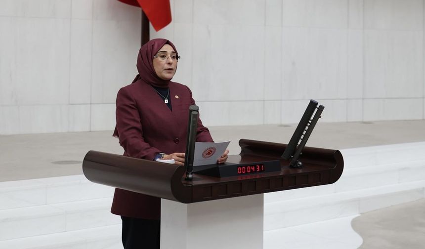 Meclis Genel Kurulu'nda Şanlıurfa rüzgarı: "Yapay zekayı gençler yönetiyor"