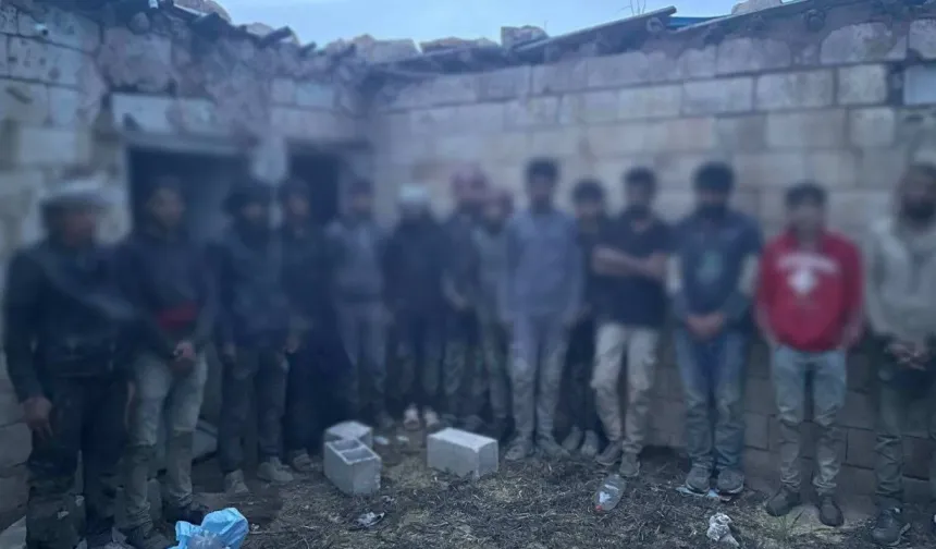 Şanlıurfa’da Göçmen Kaçakçılığına Karşı Mücadele: 68 Kişiye İşlem