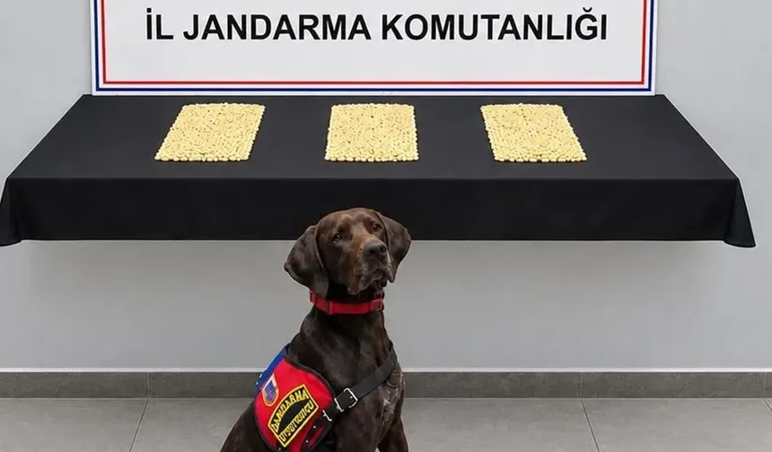 Şanlıurfa’da Uyuşturucu Operasyonu: 2 Bin 970 Captagon Hap Ele Geçirildi