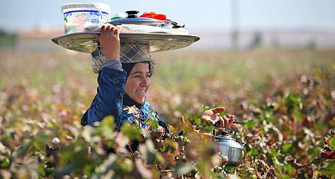 Her An Harran Foto Maraton 2