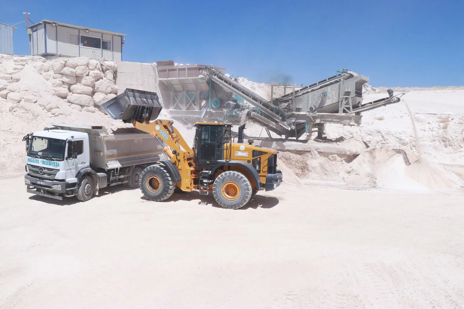 Whatsapp Image 2026 02 06 At 123122