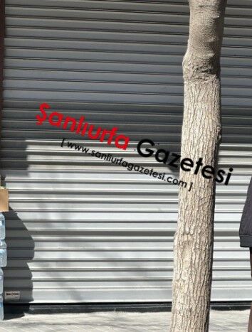 Ekran Görüntüsü 2026 03 11 115341