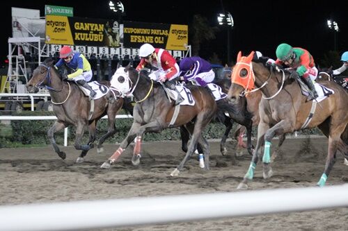 Şanlıurfa Hipodromu’nda Uluslararası Yarış Coşkusu (2)