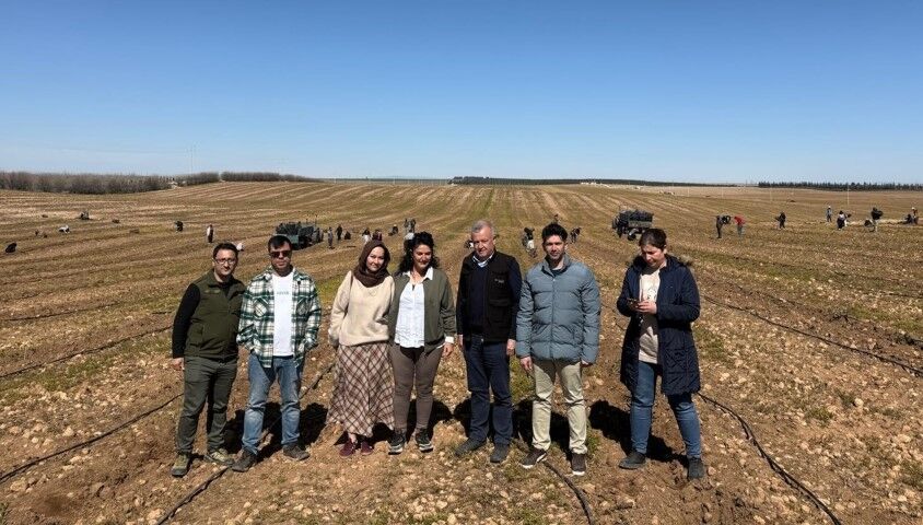 Şanlıurfa’da 125 Bin Zeytin Fidanı Toprakla Buluşuyor (1) (Küçük)
