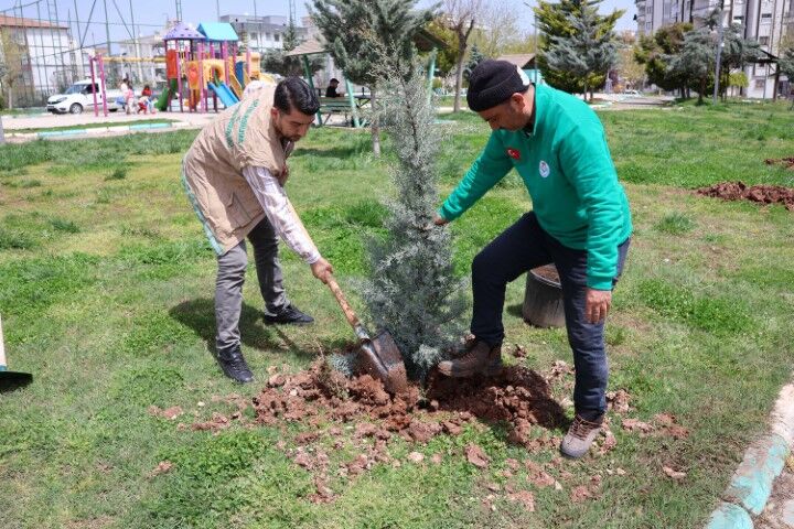 Hali̇li̇ye Beledi̇yesi̇’nden Park Ve Yeşi̇l Alanlarda Bakim Seferberli̇ği̇ (7) (Küçük)