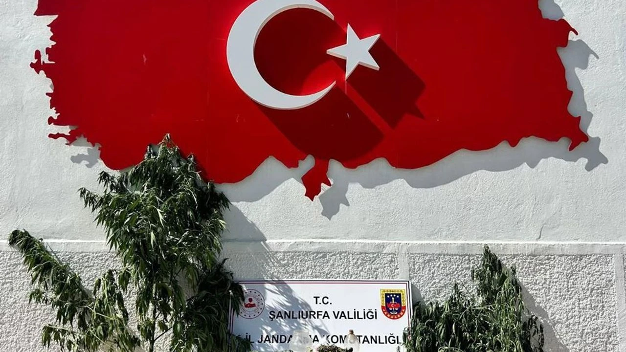 Şanlıurfa Hilvan'da Kenevir Ekili Adrese Baskın