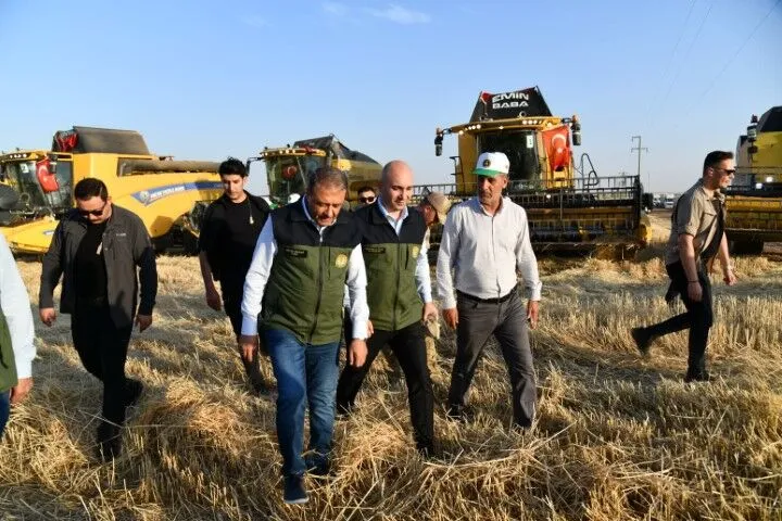Şanlıurfa Valisi Şıldak Ceylanpınar’da Buğday Hasadına Katıldı!