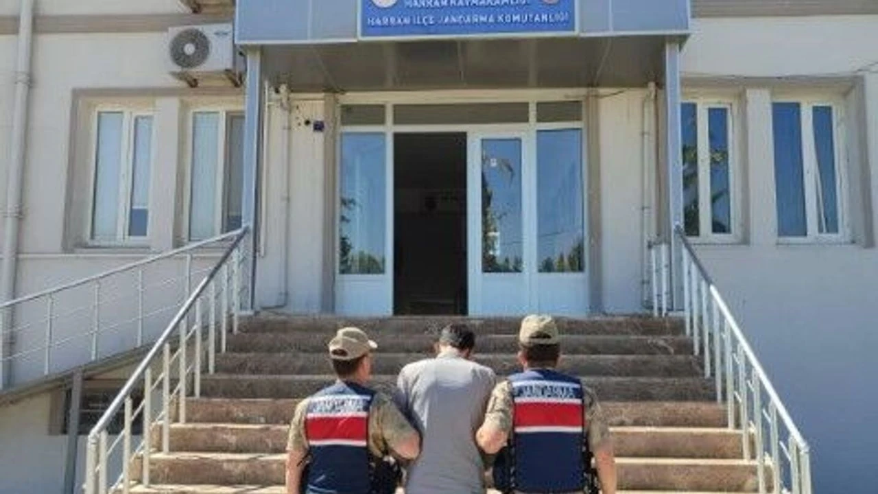 Şanlıurfa Harran’da Firari Hükümlü Operasyonu! Jandarma Ekipleri Yakaladı