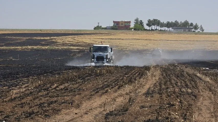 Şanlıurfa Ceylanpınar’da Tarla Yangını Paniği!