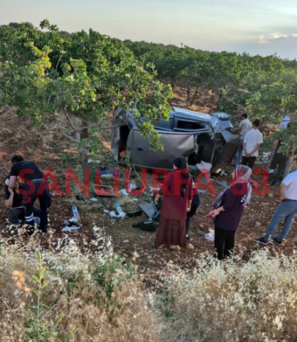 Şanlıurfa'da Gezi Sonrası Kaza! Araç Tarlaya Devrildi