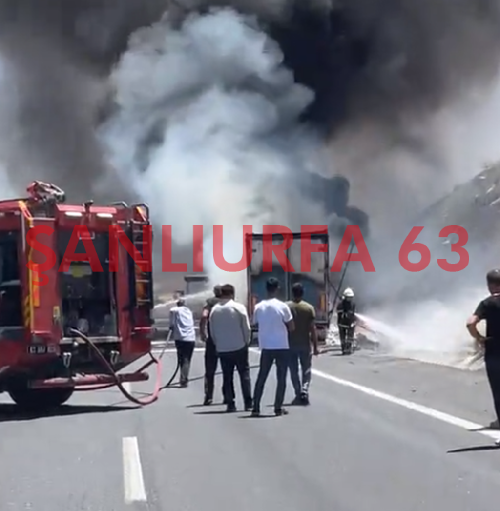 Şanlıurfa'da Seyir Halindeki Tır Alevlere Teslim Oldu!