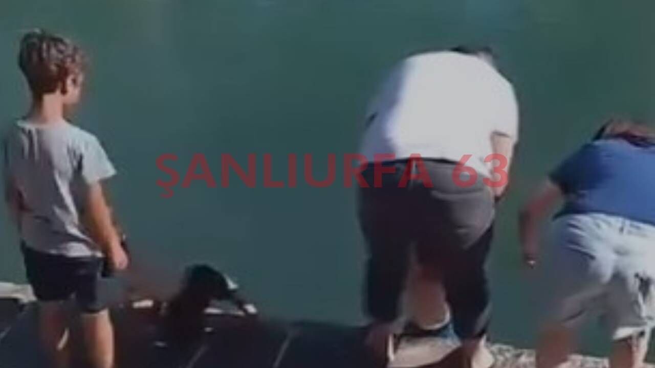 Şanlıurfa'nın Simgesi Balıklıgöl'de Tepki Çeken Anlar!